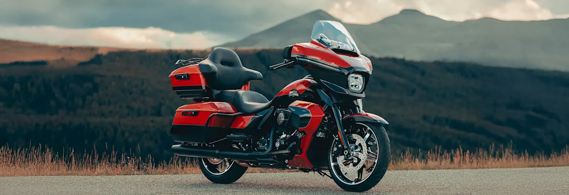 harleybanners (3)